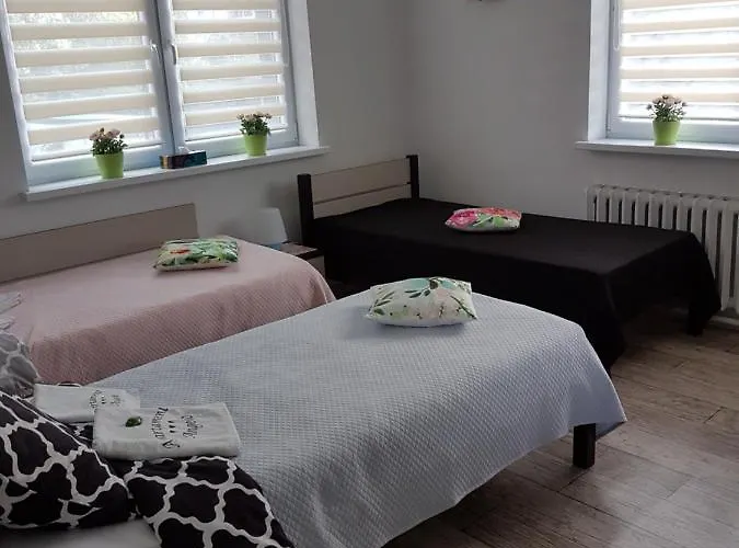 Angelo סוסנוביץ'