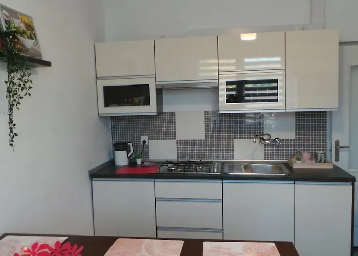 Angelo * סוסנוביץ'