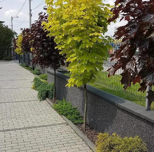 Angelo סוסנוביץ'