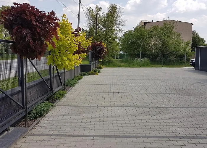 Angelo סוסנוביץ'